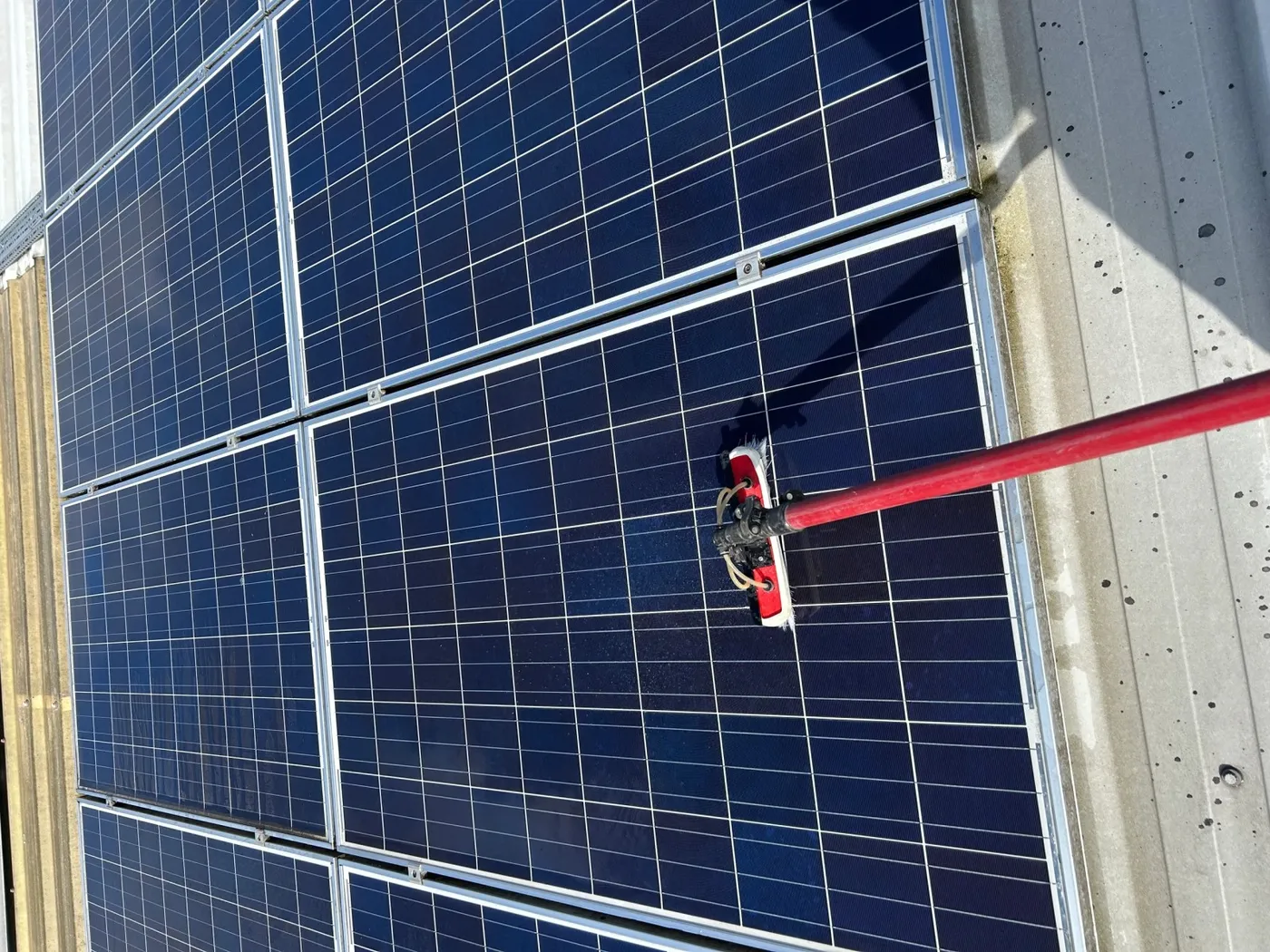 A water-fed pole brush cleaning rooftop solar panels